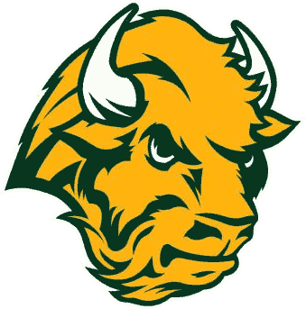 North Dakota State Bison 2005-2011 Alternate Logo diy iron on heat transfer